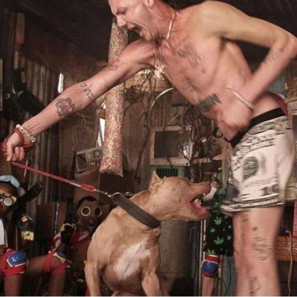 ꧁༆♈︎♍︎♒︎߷۞♌︎♑︎♋︎⍟༄♐︎♊︎꧂♏︎Ꙭ♉︎♎︎♓︎♓︎ - Picture 3 of 6